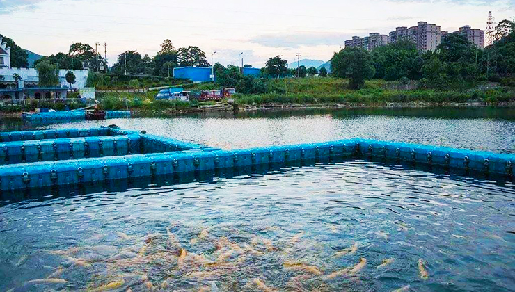 水产养殖废水处理方案